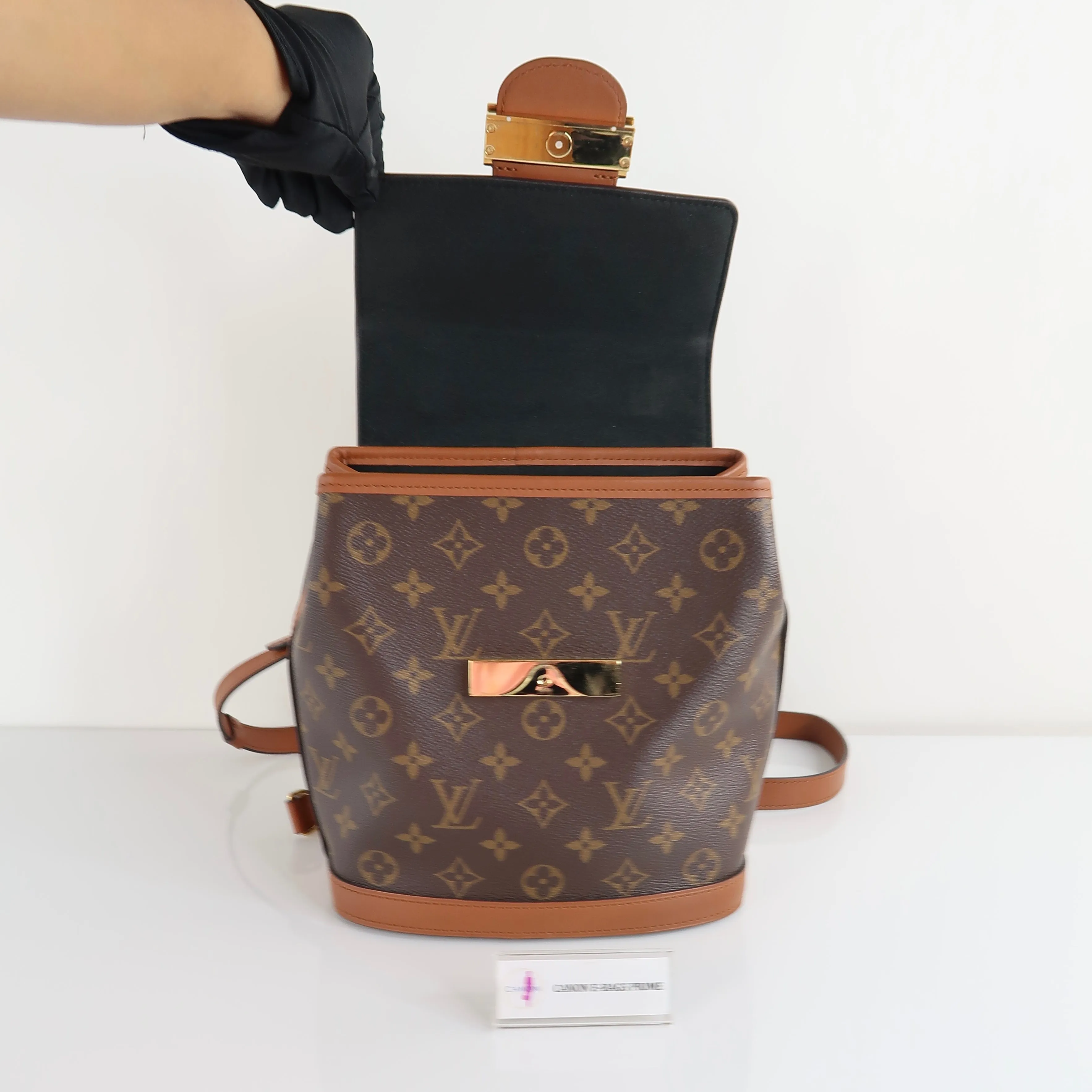 Dauphine Backpack