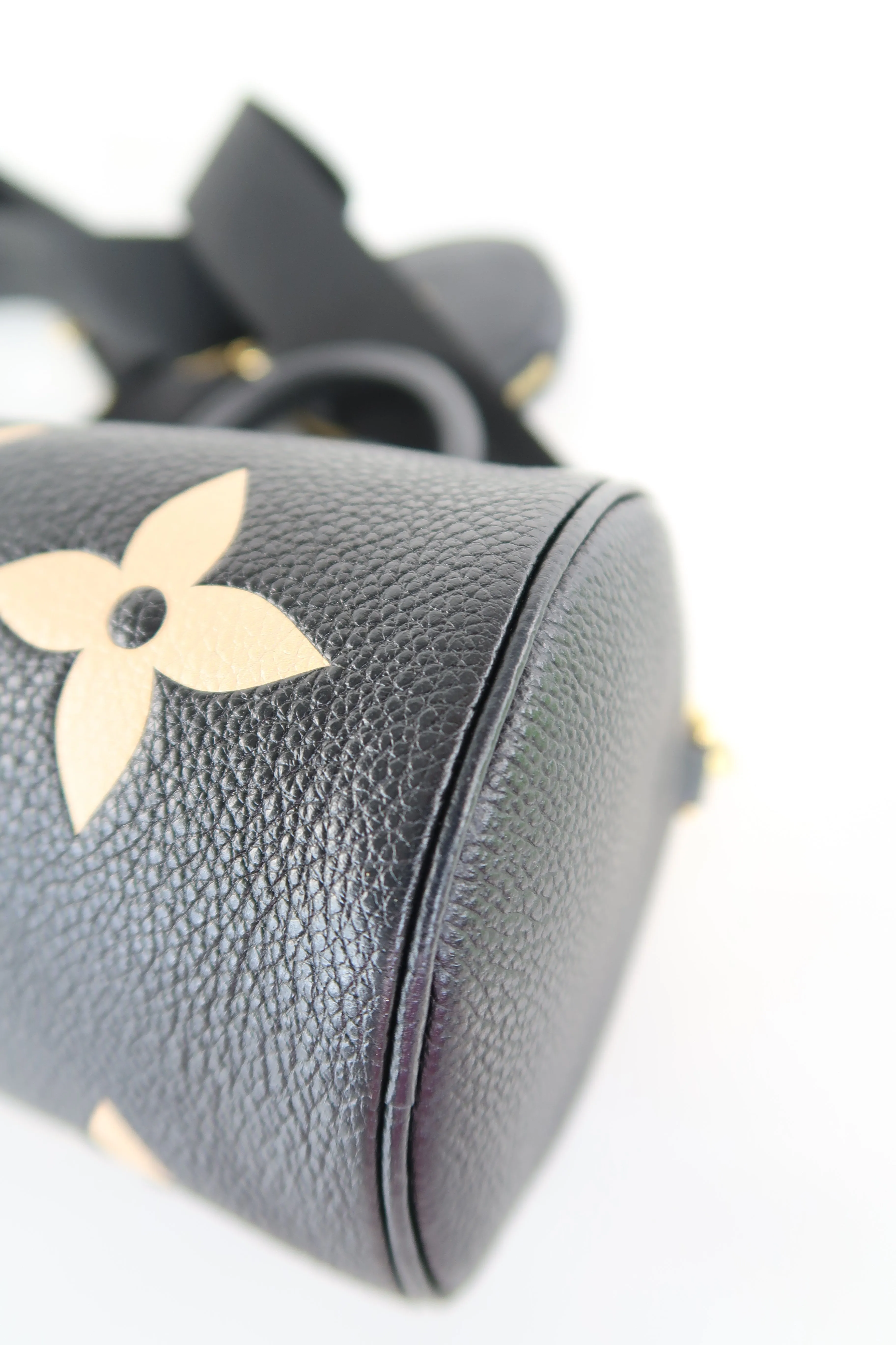 Papillon Two Way