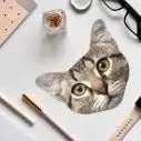 Pikkii – Fun Micofiber Cloth – Cat