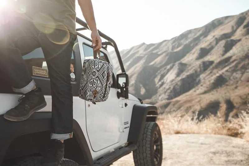 Revelry Stowaway Bag - 10in